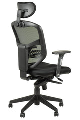 Ergonomic Office Chair HN-5038