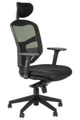 Ergonomic Office Chair HN-5038