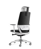 Ergonomic Office Chair Comfort