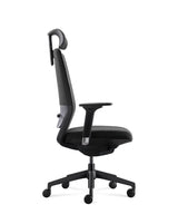 Ergonomic Office Chair Comfort