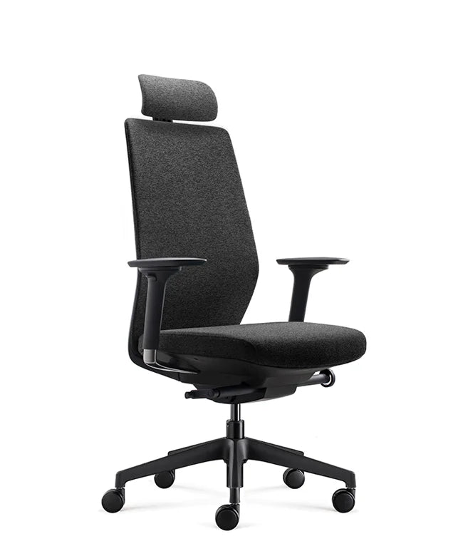 Ergonomic Office Chair Comfort