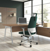 Ergonomic Office Chair Comfort