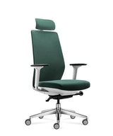 Ergonomic Office Chair Comfort