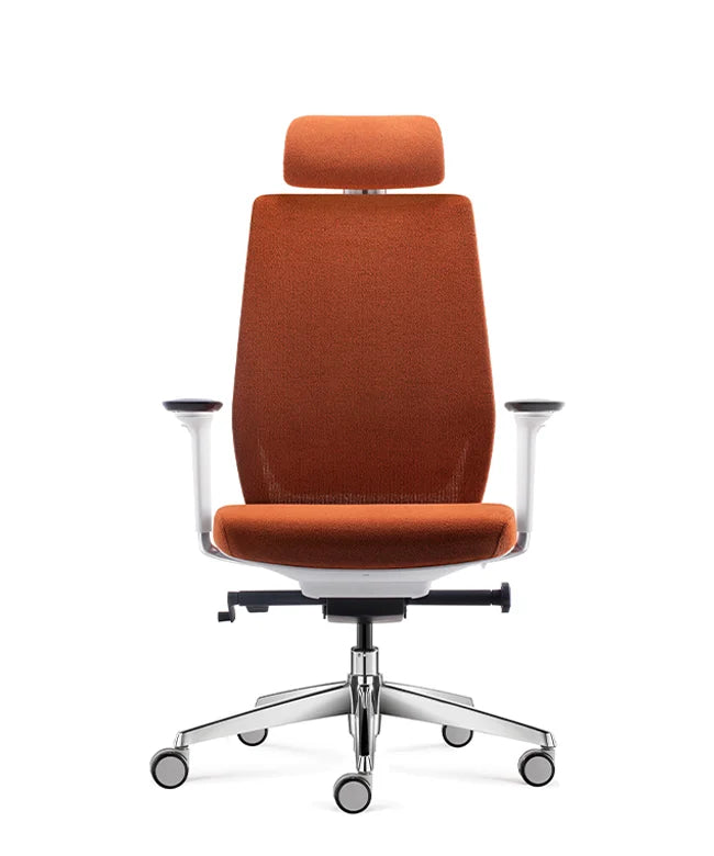 Ergonomic Office Chair Comfort