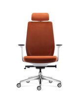 Ergonomic Office Chair Comfort