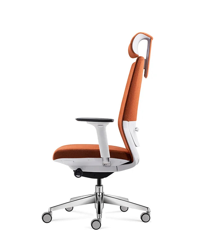 Ergonomic Office Chair Comfort