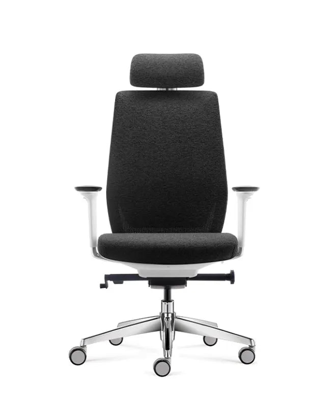 Ergonomic Office Chair Comfort