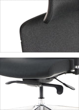 Ergonomic Office Chair Akcent PLUS