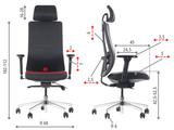 Ergonomic Office Chair Akcent PLUS