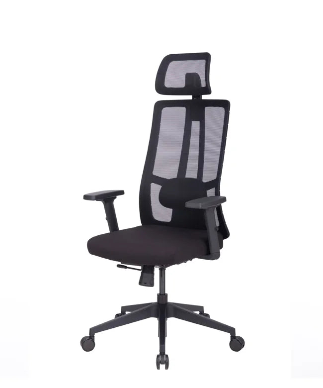 Ergonomic Office Chair Eiffel Lite