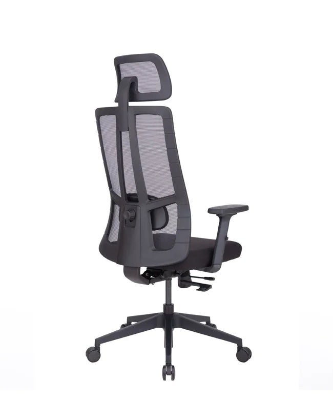 Ergonomic Office Chair Eiffel Lite
