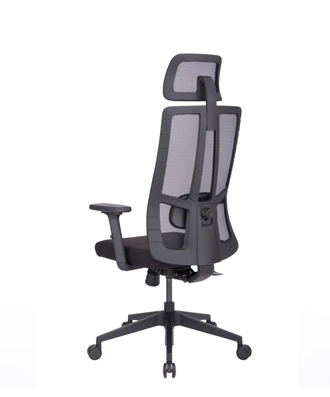 Ergonomic Office Chair Eiffel Lite