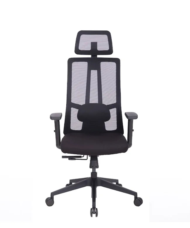 Ergonomic Office Chair Eiffel Lite