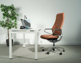Ergonomic Office Chair Elite