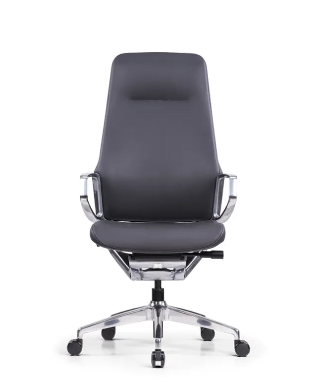 Ergonomic Office Chair Elite
