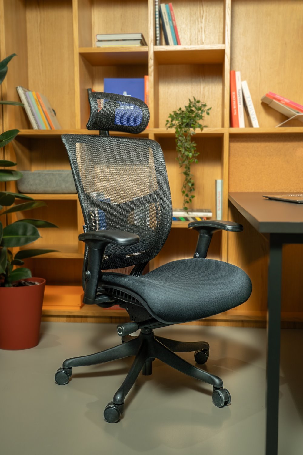 Ergonomic Office Chair Erg PRO