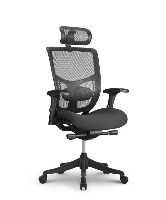 Ergonomic Office Chair Erg PRO