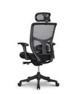 Ergonomic Office Chair Erg PRO