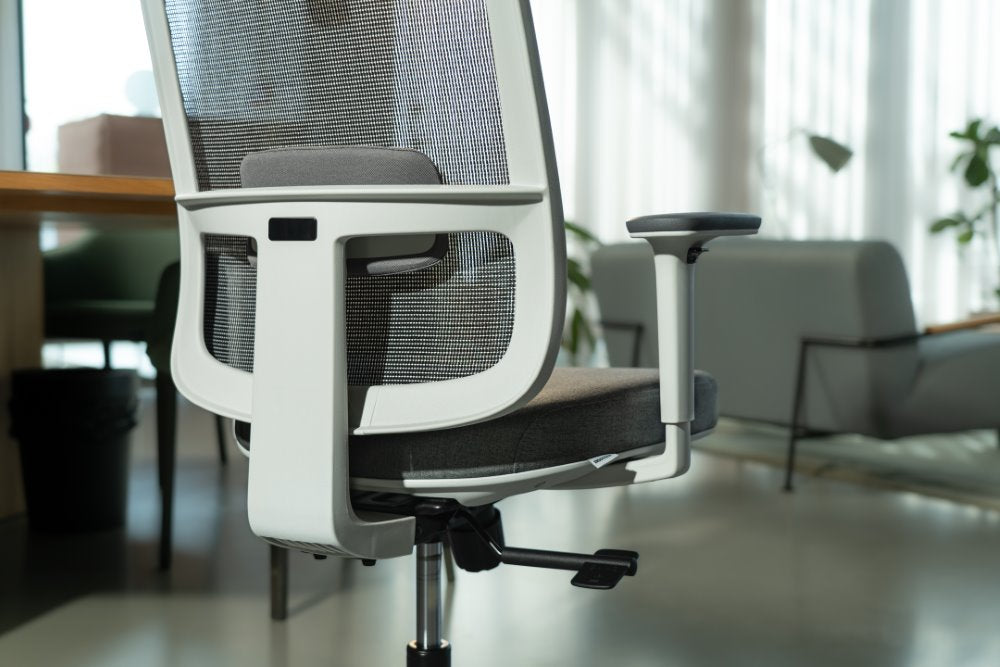 Ergonomic Office Chair Ergo Basic W