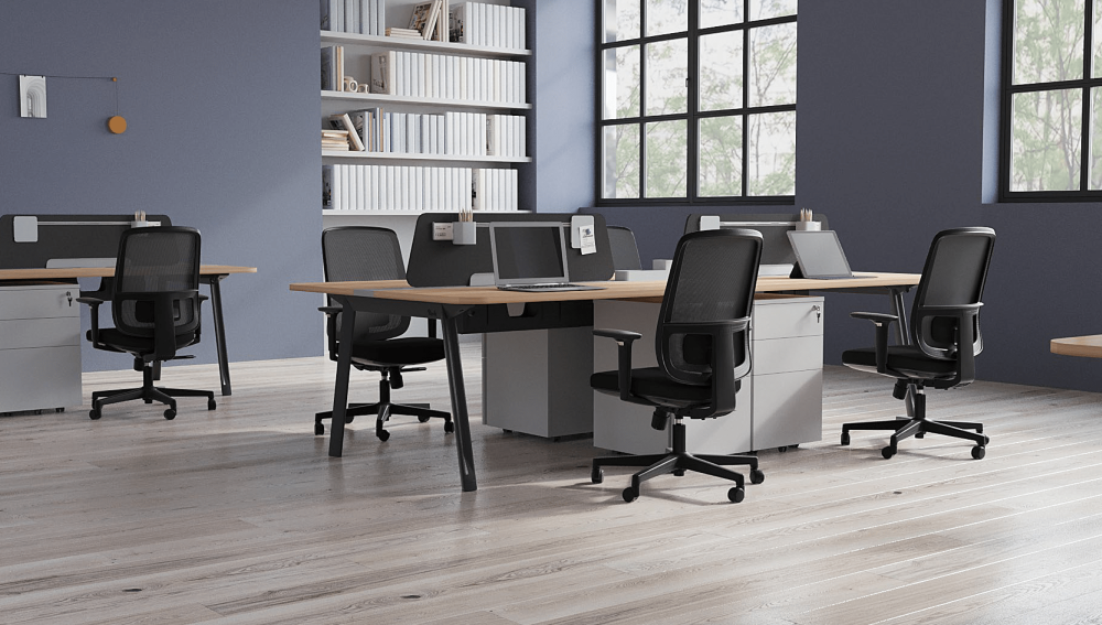 Ergonomic Office Chair Ergo Basic W