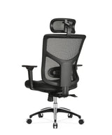 Ergonomic Office Chair Essent Balance