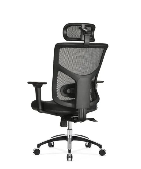 Ergonomic Office Chair Essent Balance