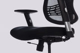 Ergonomic Office Chair Essent Balance