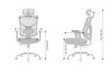 Ergonomic Office Chair Essent Balance
