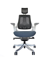 Ergonomic Office Chair iTrek