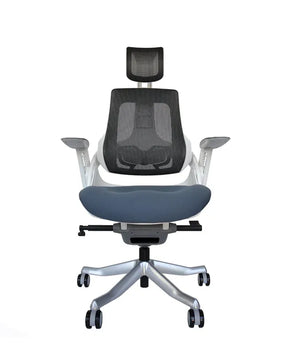 Ergonomic Office Chair iTrek