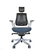 Ergonomic Office Chair iTrek