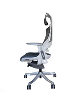 Ergonomic Office Chair iTrek