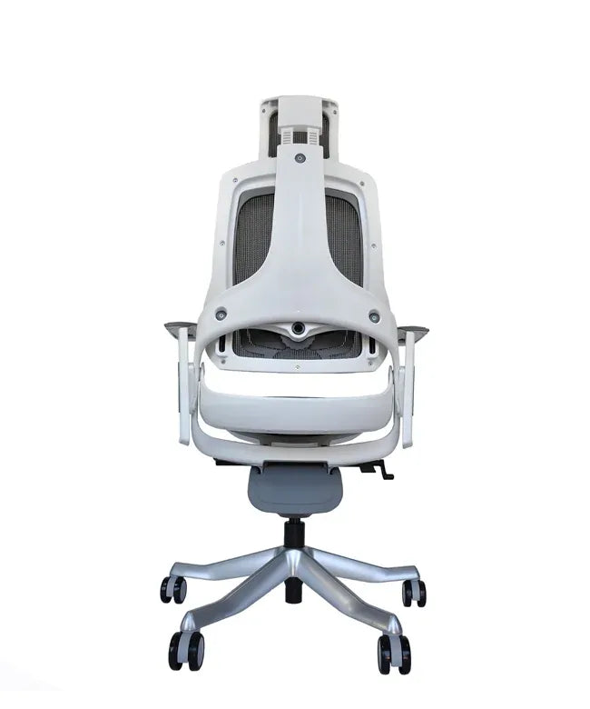 Ergonomic Office Chair iTrek
