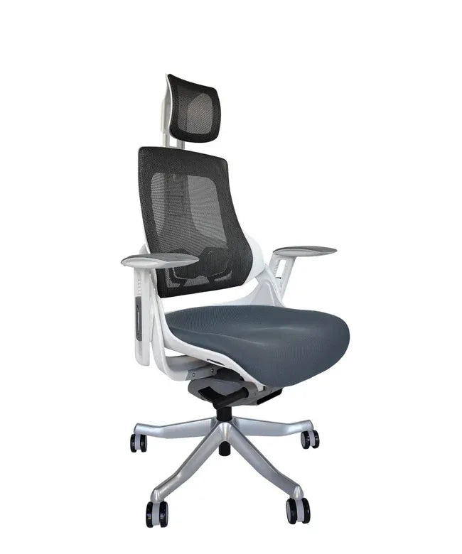 Ergonomic Office Chair iTrek