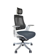 Ergonomic Office Chair iTrek
