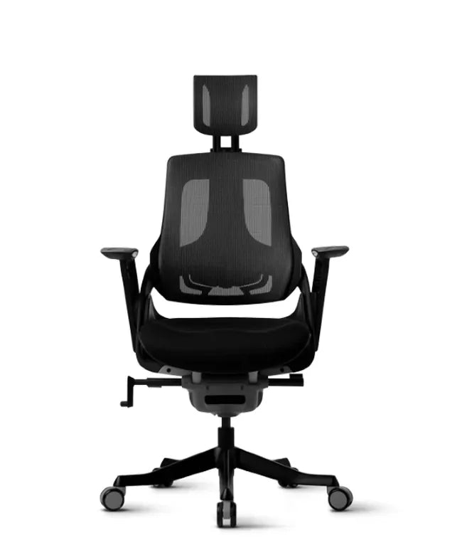 Ergonomic Office Chair iTrek