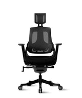 Ergonomic Office Chair iTrek