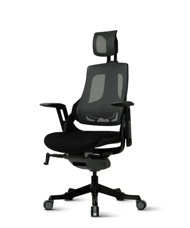 Ergonomic Office Chair iTrek