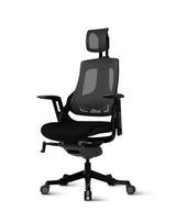 Ergonomic Office Chair iTrek