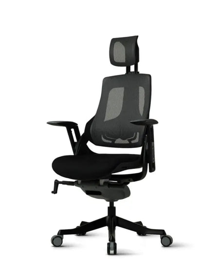 Ergonomic Office Chair iTrek