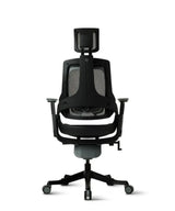 Ergonomic Office Chair iTrek