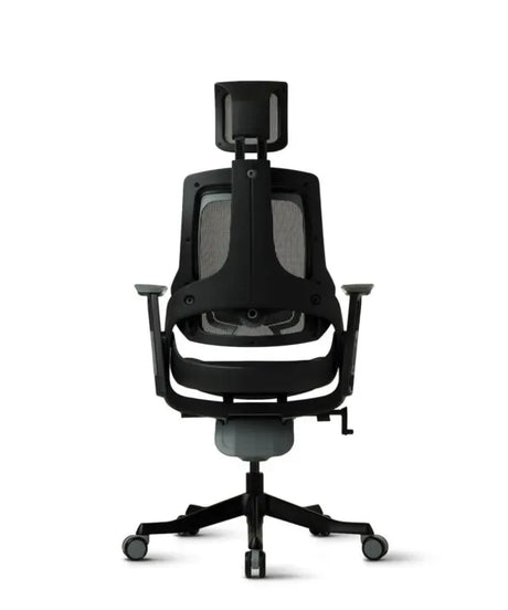 Ergonomic Office Chair iTrek