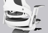 Ergonomic Office Chair iTrek