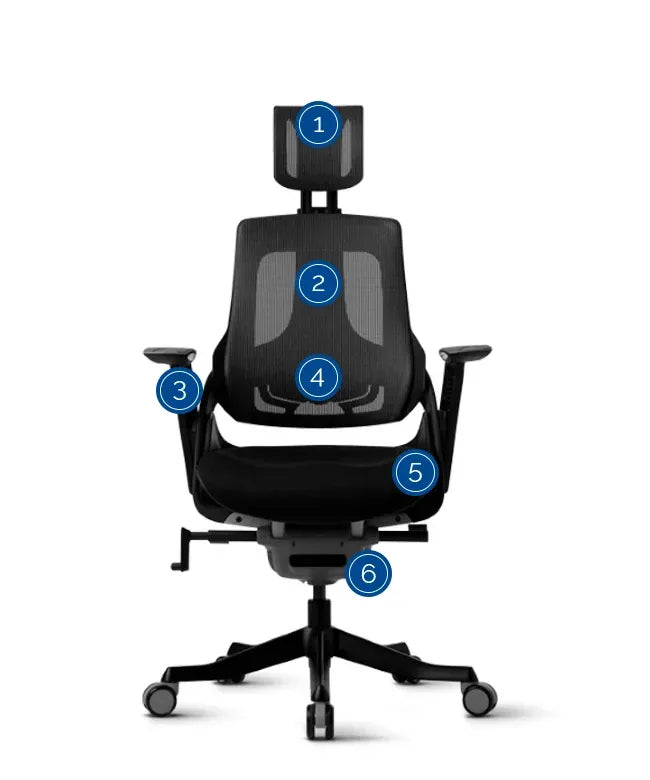 Ergonomic Office Chair iTrek