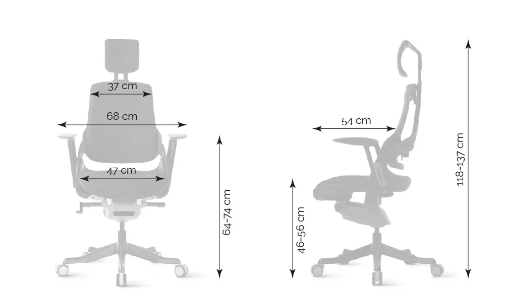 Ergonomic Office Chair iTrek