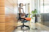 Ergonomic Office Chair iTrek