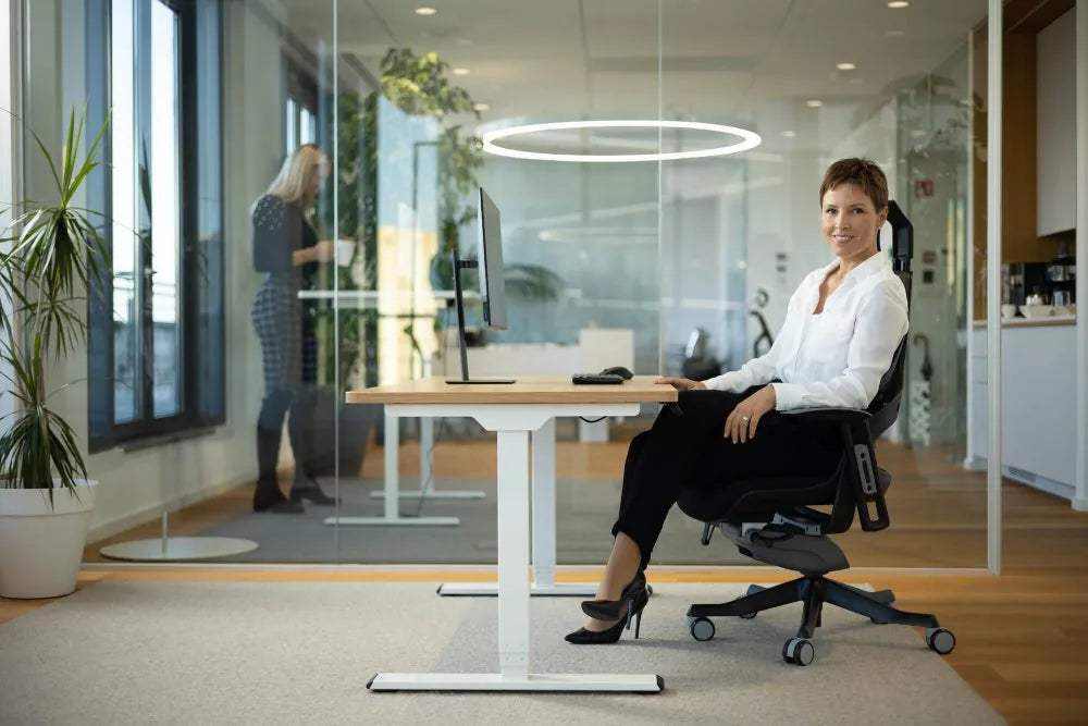 Ergonomic Office Chair iTrek