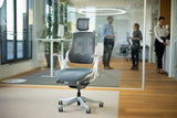 Ergonomic Office Chair iTrek