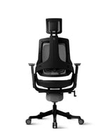 Ergonomic Office Chair iTrek