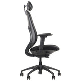 Ergonomic Office Chair Larston